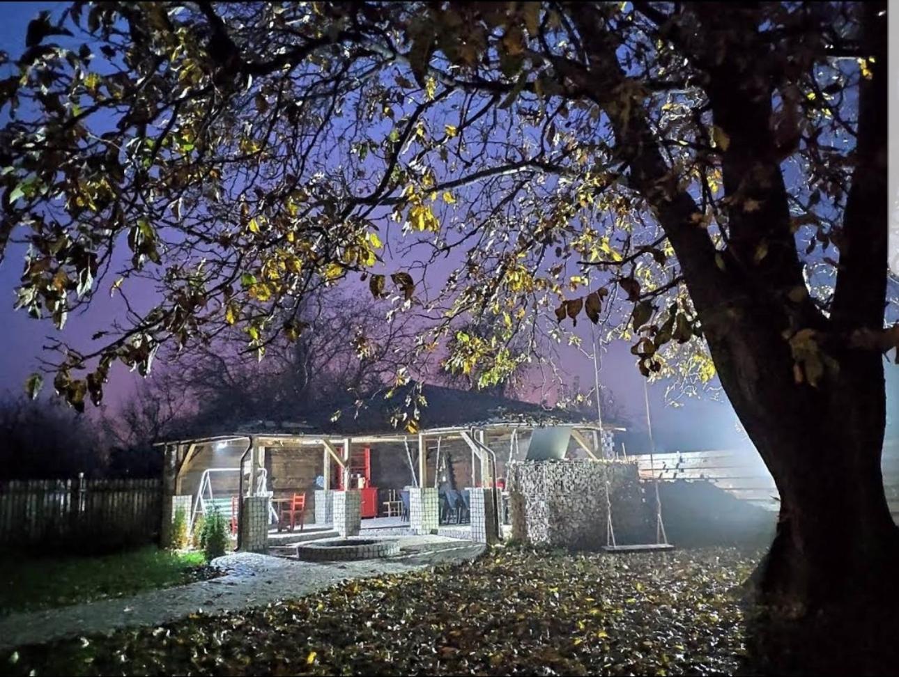 Отель Casa Pisica Noastra Бряза Экстерьер фото