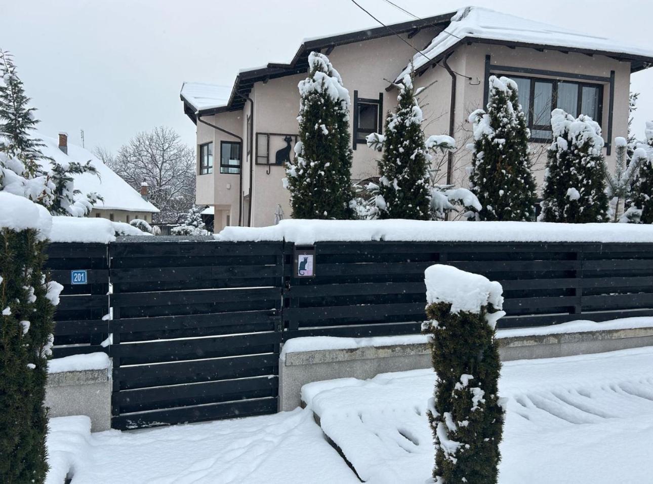 Отель Casa Pisica Noastra Бряза Экстерьер фото
