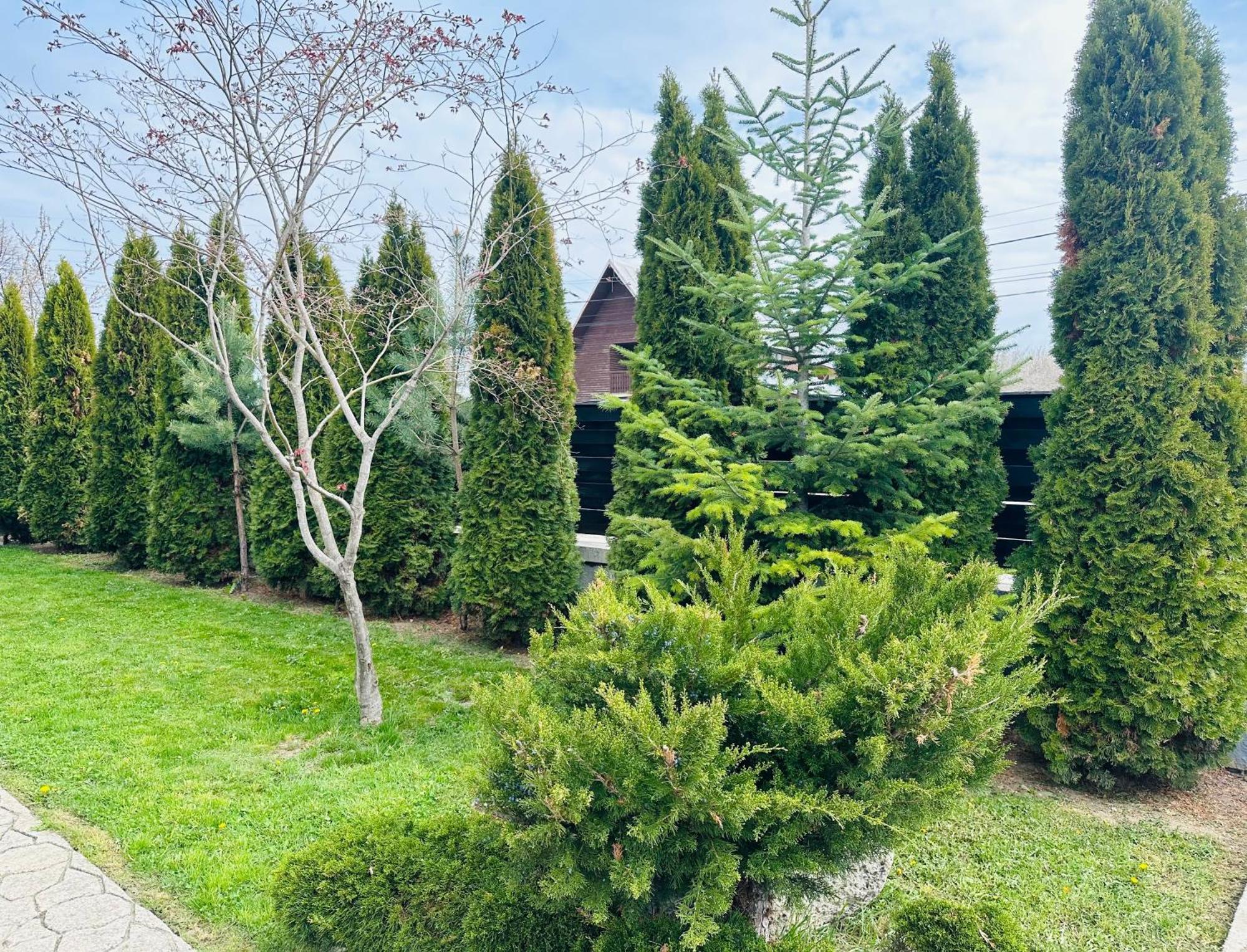 Отель Casa Pisica Noastra Бряза Экстерьер фото