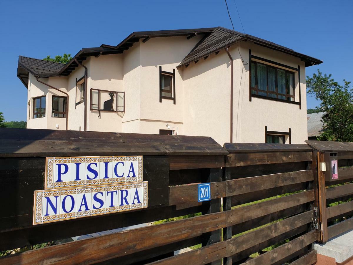 Отель Casa Pisica Noastra Бряза Экстерьер фото